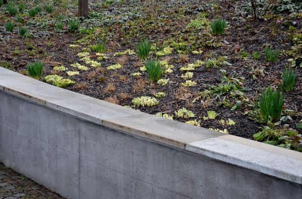 Concrete Wall Construction in Toms River